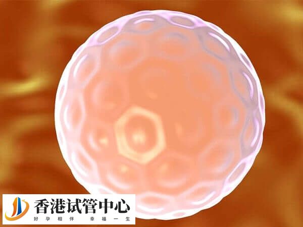 試管嬰兒鮮胚著床率低是因?yàn)閷?duì)子宮內(nèi)膜環(huán)境要求高嗎？
