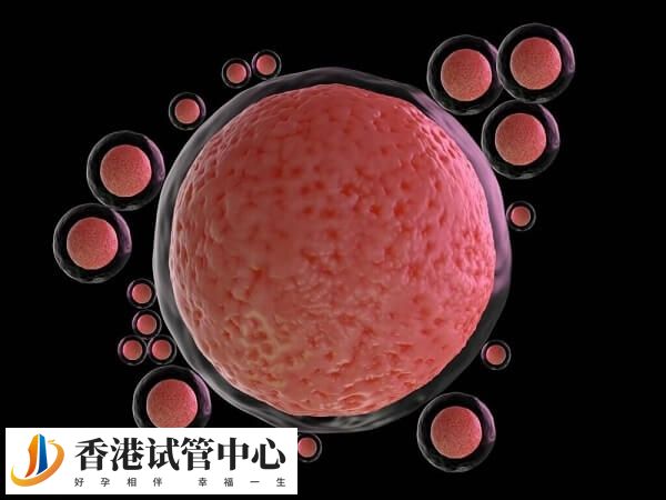 優(yōu)勢(shì)卵泡不排卵可能是卵巢疾病導(dǎo)致