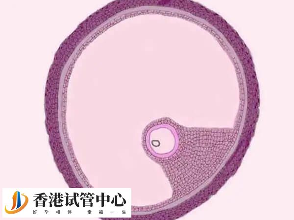 卵泡黃素化與垂體和卵巢有很大關系