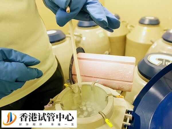 香港凍卵子一年保管費需要多少錢？