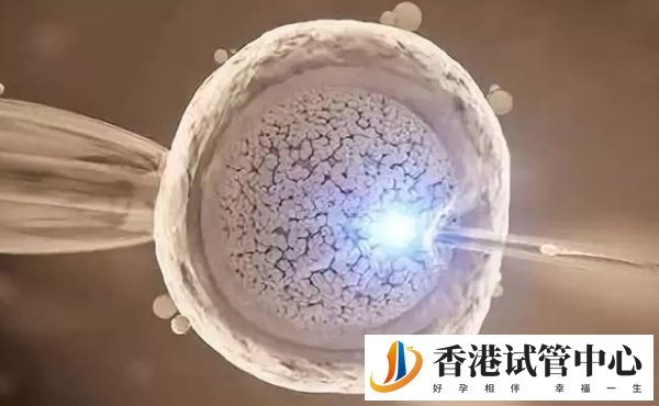 香港供卵要不要排隊