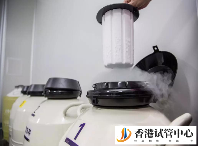 美國冷凍胚胎可否運到香港