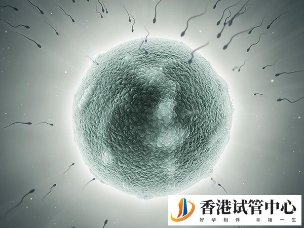單身可否在香港凍卵