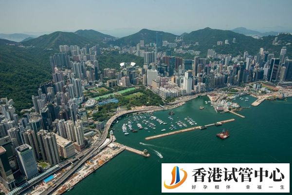 香港試管醫院排名