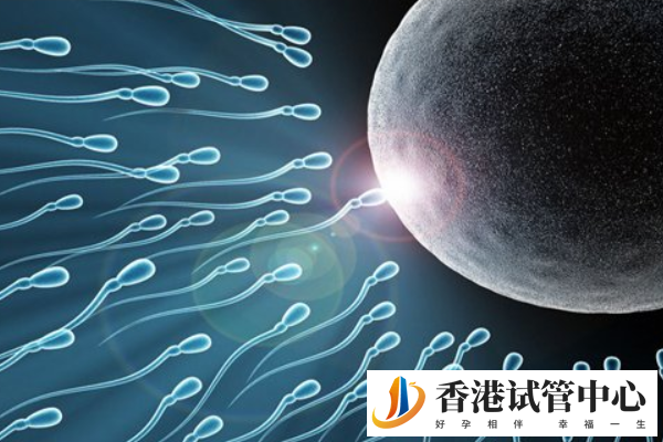 香港三代試管嬰兒費用多少