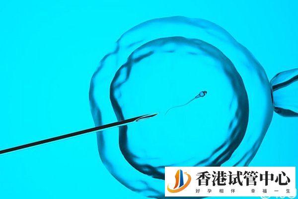 揭秘香港供卵試管全流程，一次提供多少個胚胎因人而異
