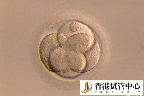移植胚胎數(shù)量有規(guī)定