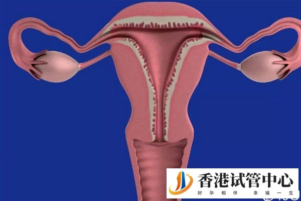 做供卵試管前要調(diào)理身體
