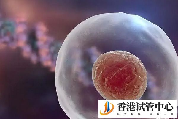 申請(qǐng)供卵要給予一定補(bǔ)償