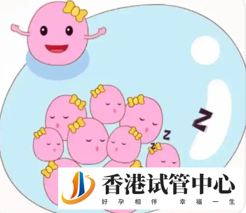 3種方法檢測(cè)卵子質(zhì)量，改正生活習(xí)慣能促進(jìn)卵泡發(fā)育