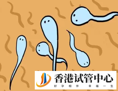香港試管嬰兒全過程，附試管全攻略分享