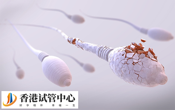 實施供精生育的寶寶和男方無血緣關系