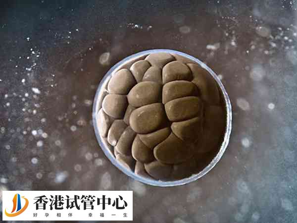 人工授精失敗了可能需要重新選供精源
