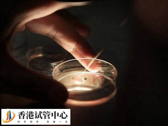 試管嬰移植后身體反應(yīng)有哪些