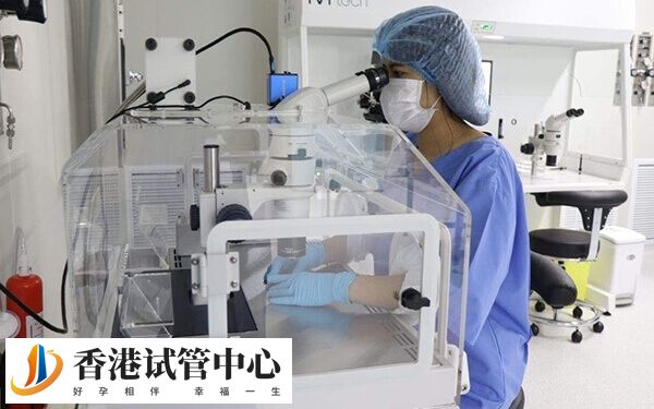 卵子質(zhì)量差會影響受精