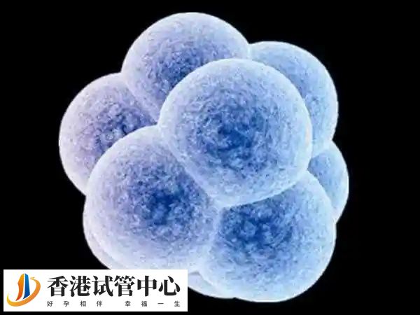 試管嬰兒生二胎要多少錢