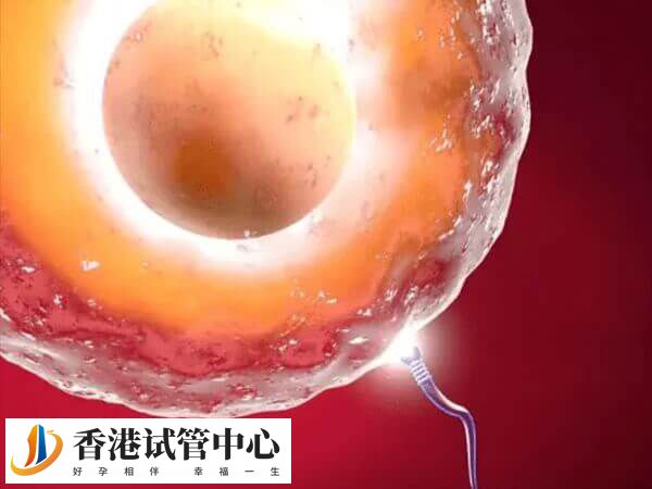 試管嬰兒精子和卵子不受精怎么辦