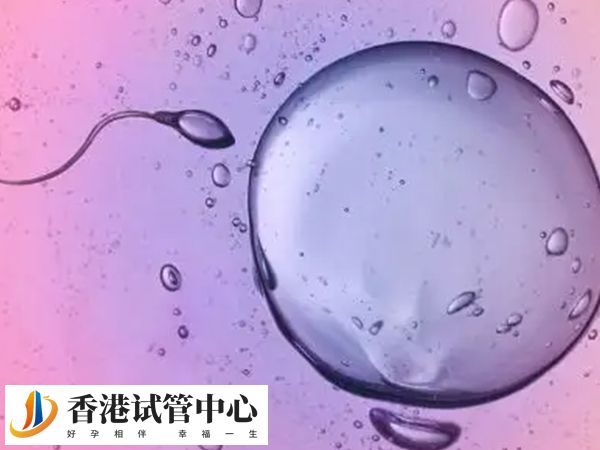 獲取5個受精卵可以發育成幾個胚胎