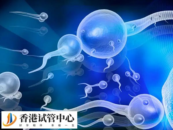 精子的質(zhì)量會影響胚胎數(shù)量