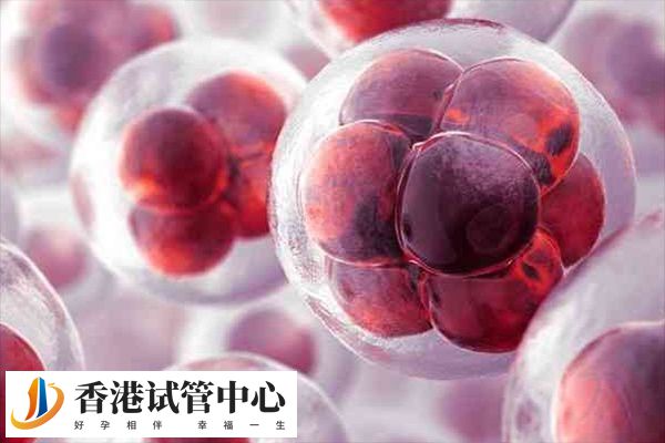 取七個(gè)卵一般能配幾對(duì)胚胎并無固定標(biāo)準(zhǔn)