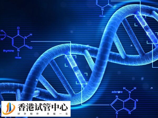 通過PGD/PGS技術(shù)對(duì)胚胎進(jìn)行基因診斷