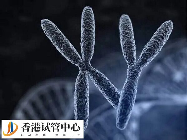 PGS可以準(zhǔn)確檢測出胚胎性別