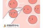 試管取卵后彈力襪要穿多久