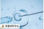 移植胚胎要考慮哪些因素
