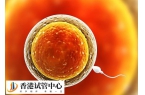 導(dǎo)致排卵障礙的原因有哪些