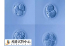 4cc等級(jí)的囊胚質(zhì)量差，胚胎后移植成功率